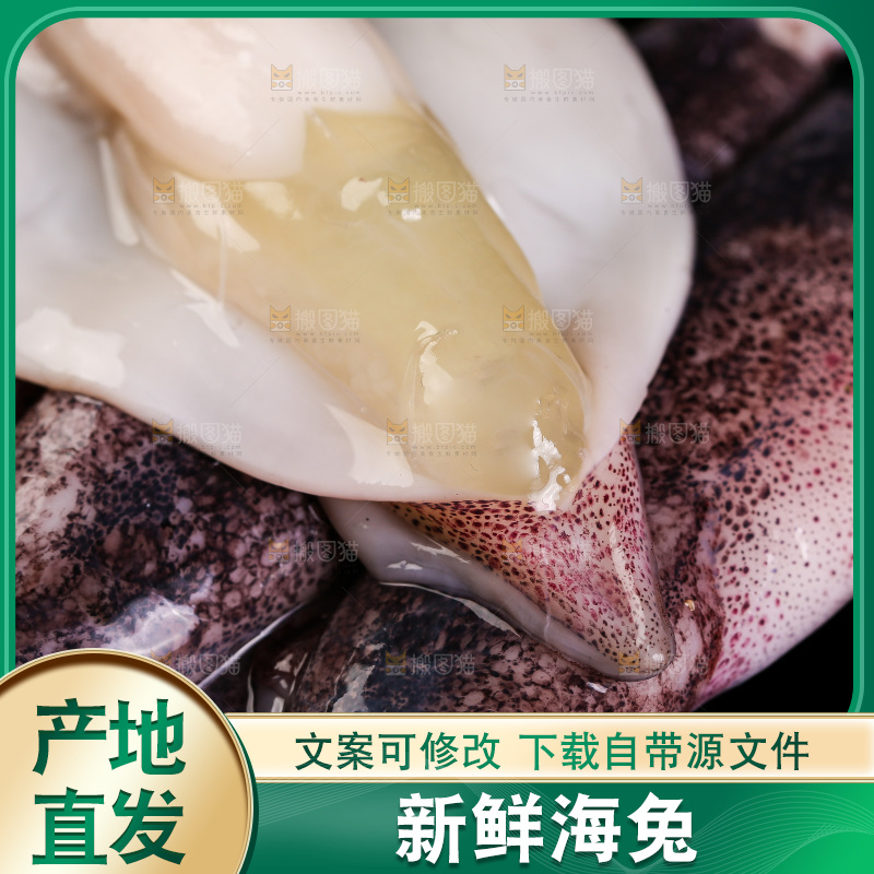黑底上的海兔
