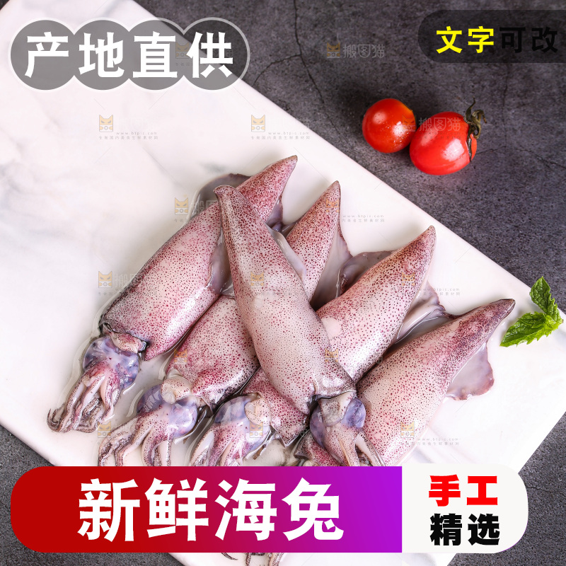 深底上的海兔