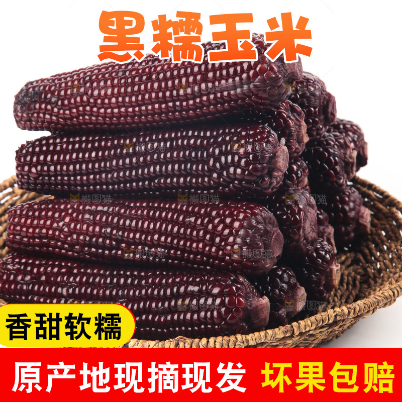 白底上的黑糯玉米