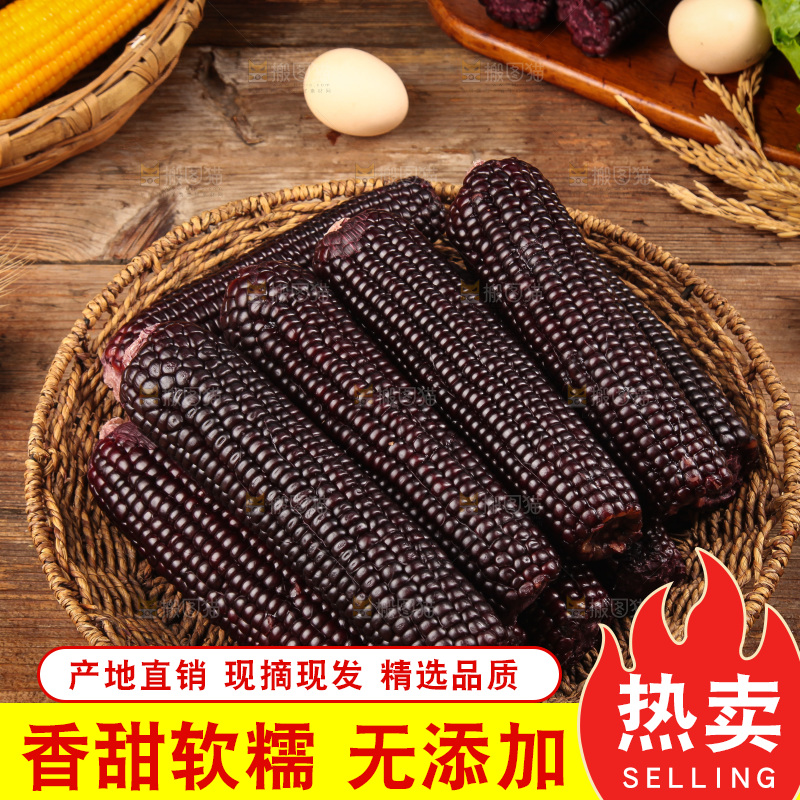 木底上的黑糯玉米