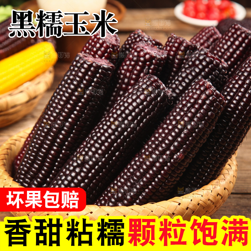 木底上的黑糯玉米