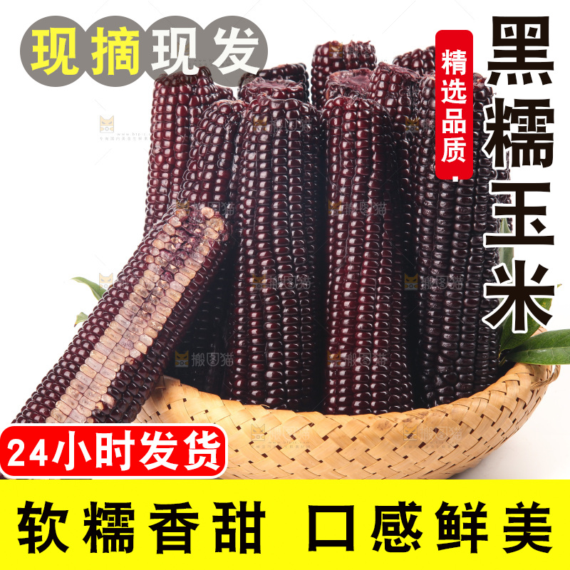 白底上的黑糯玉米