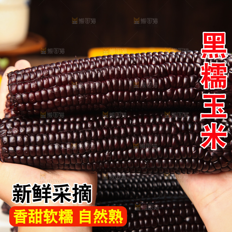 木底上的黑糯玉米