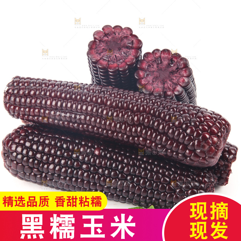 白底上的黑糯玉米