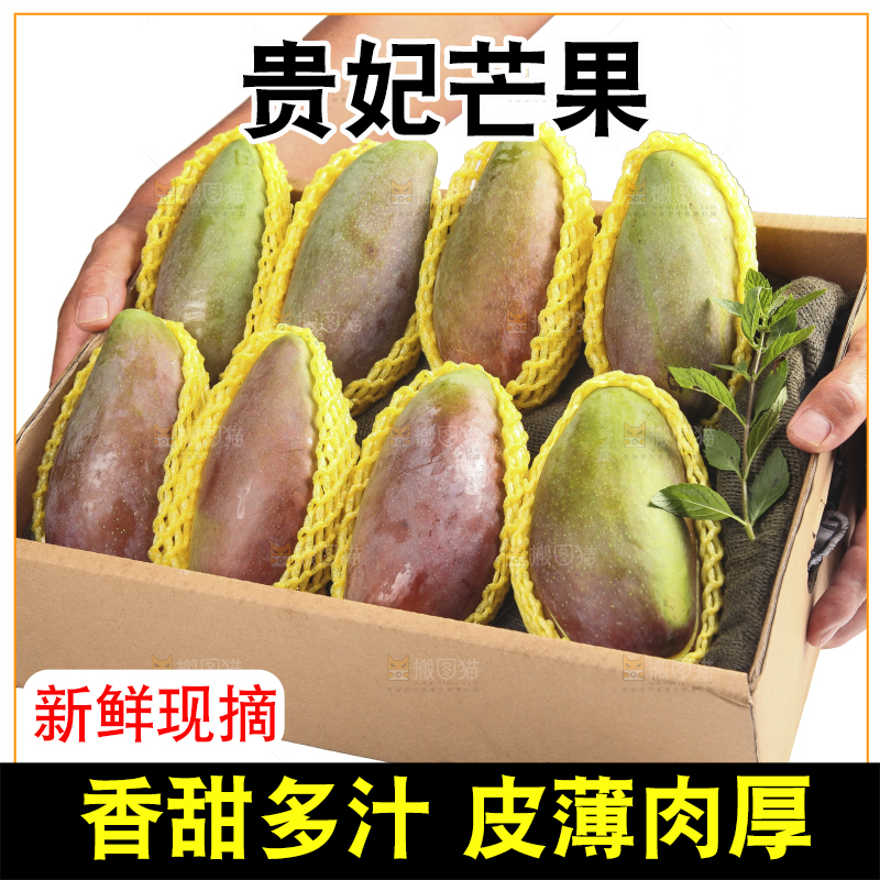 白底上的贵妃芒