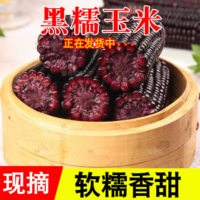 浅底上的黑糯玉米