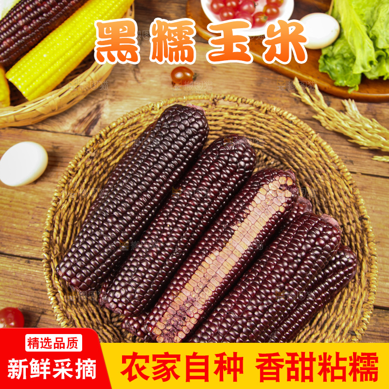木底上的黑糯玉米