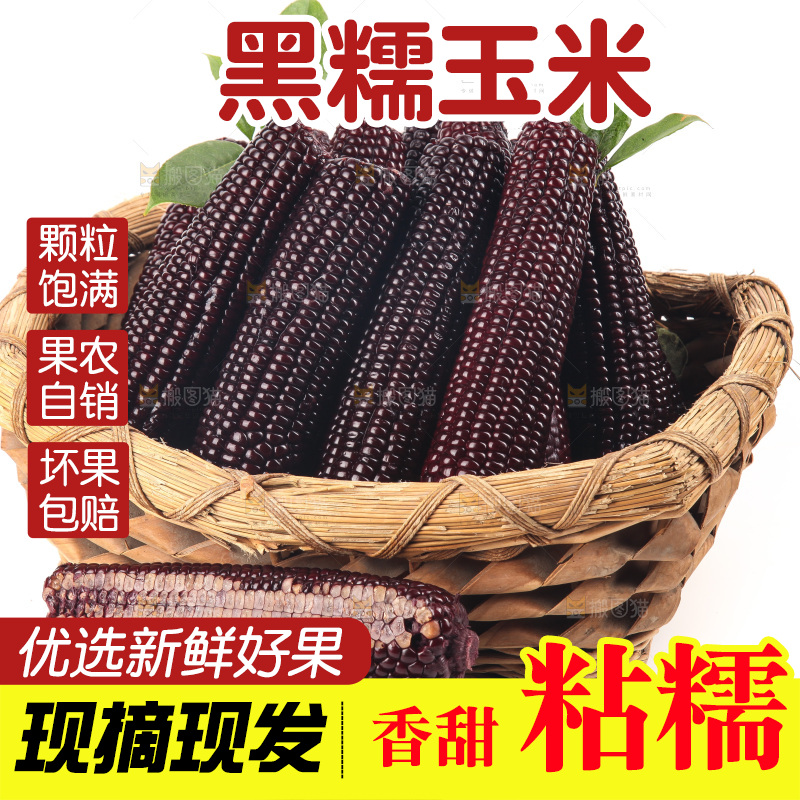白底上的黑糯玉米