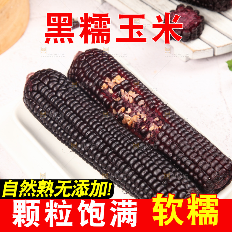 浅底上的黑糯玉米