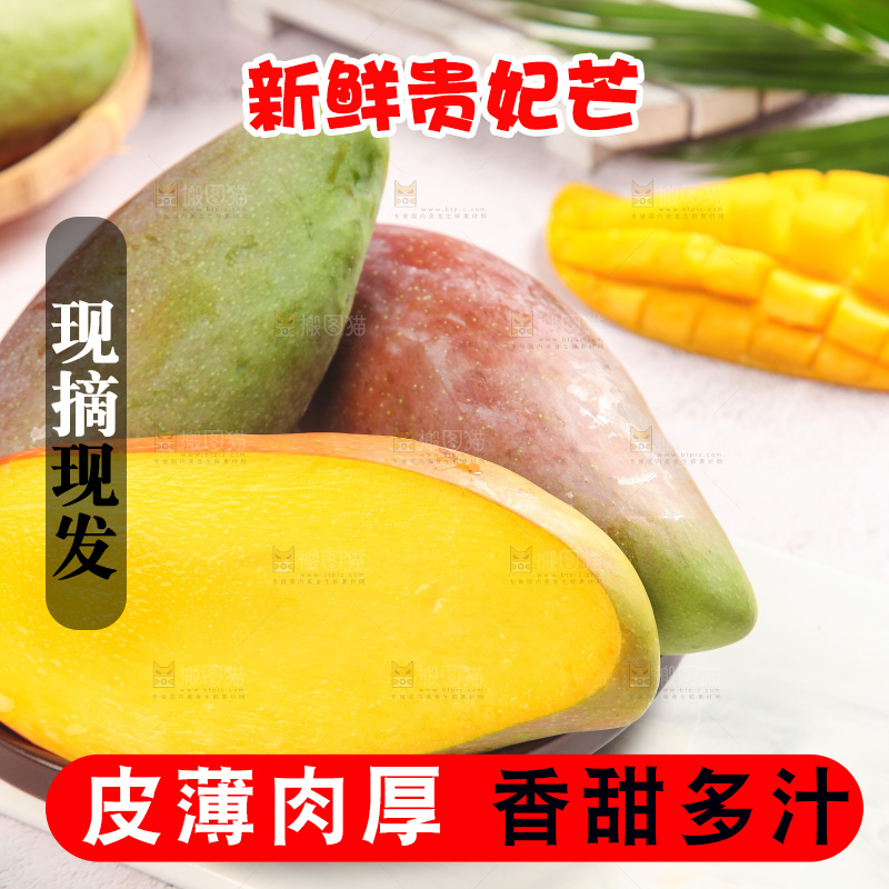 浅底上的贵妃芒