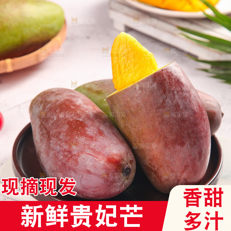 浅底上的贵妃芒