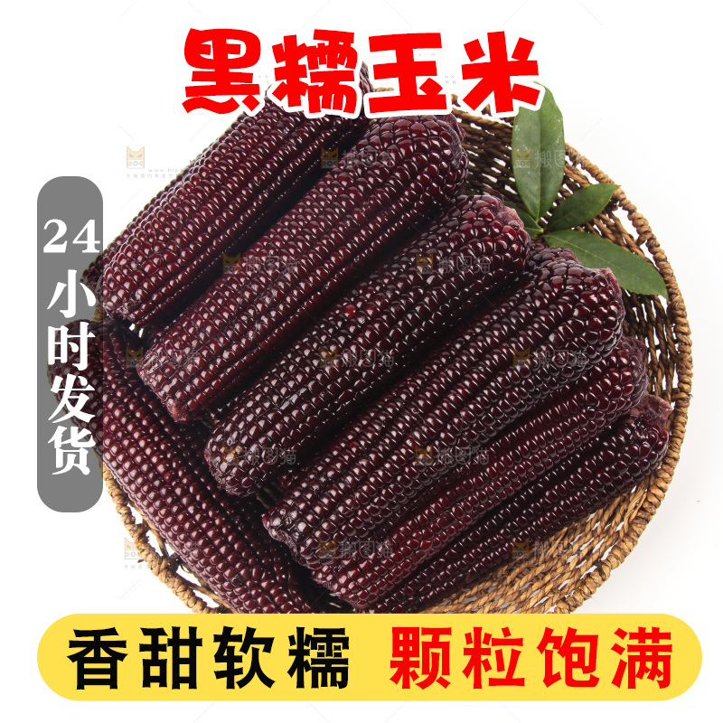 白底上的黑糯玉米