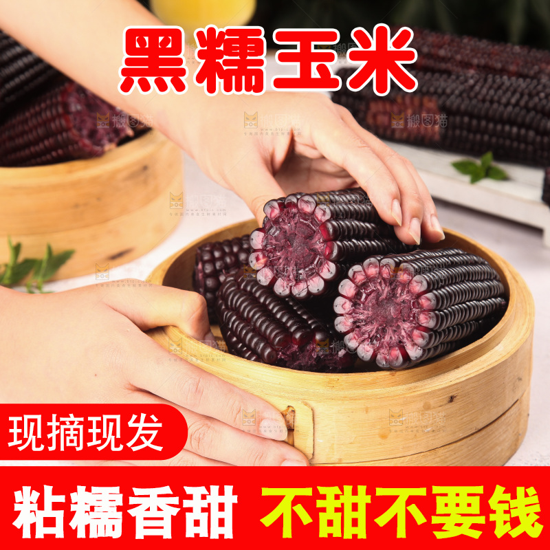 浅底上的黑糯玉米
