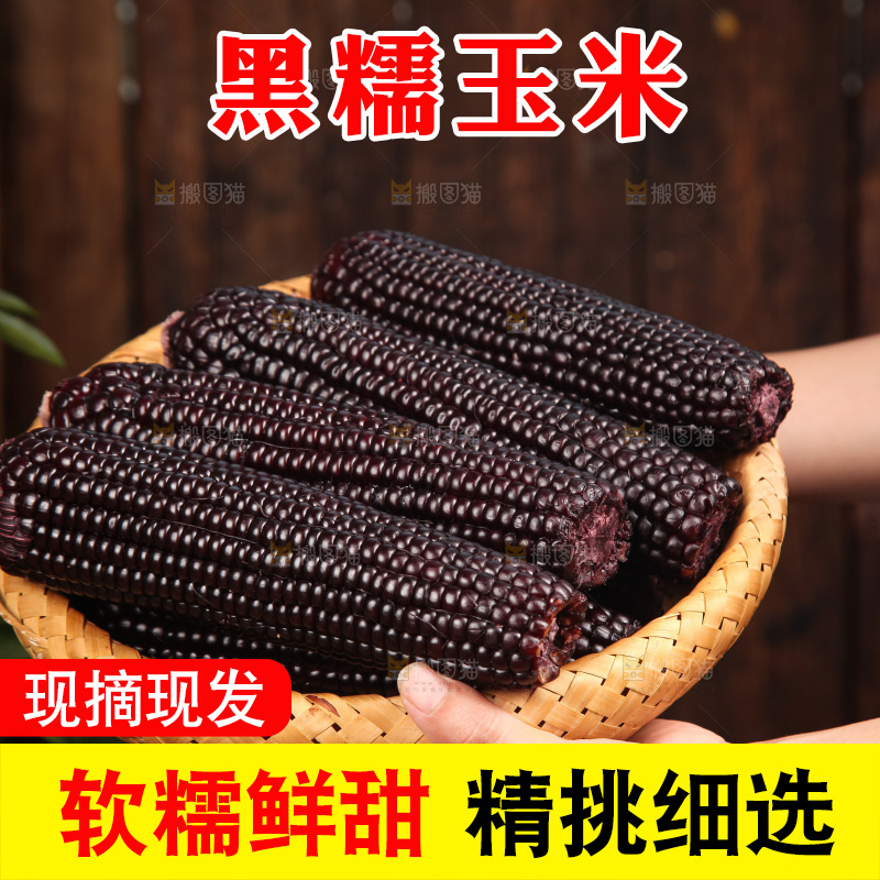 木底上的黑糯玉米