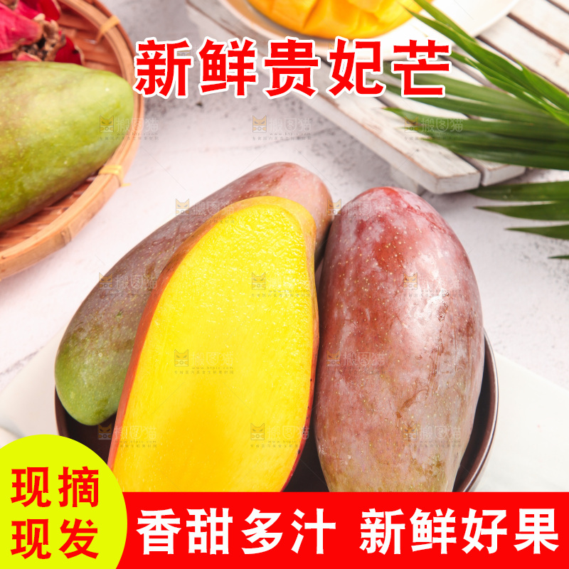 浅底上的贵妃芒