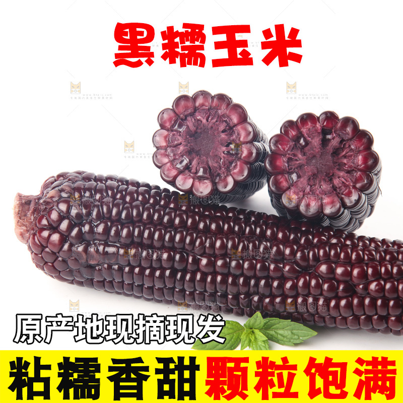 白底上的黑糯玉米