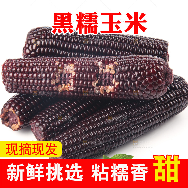 白底上的黑糯玉米