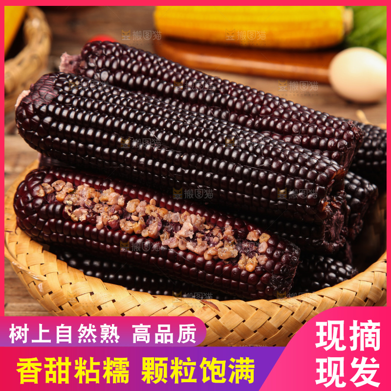 木底上的黑糯玉米