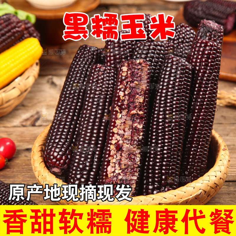 木底上的黑糯玉米