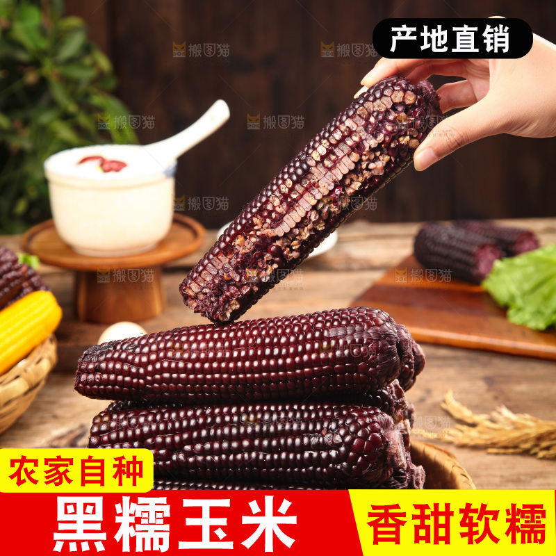 木底上的黑糯玉米
