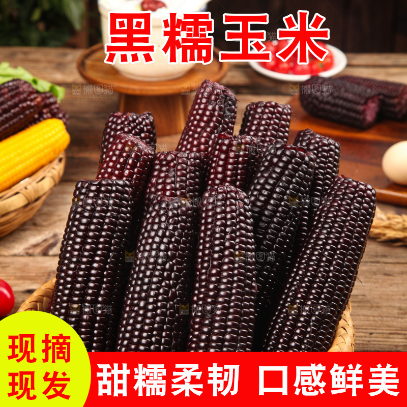 木底上的黑糯玉米