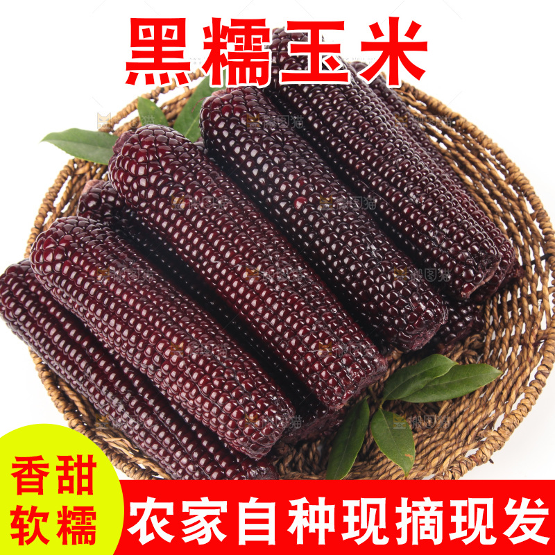 白底上的黑糯玉米