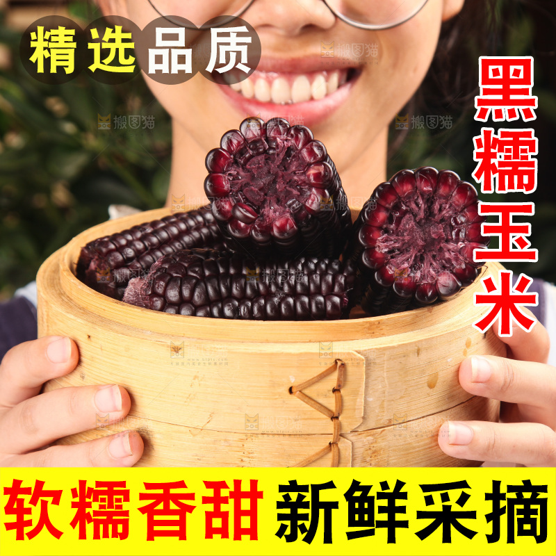 手里拿着黑玉米