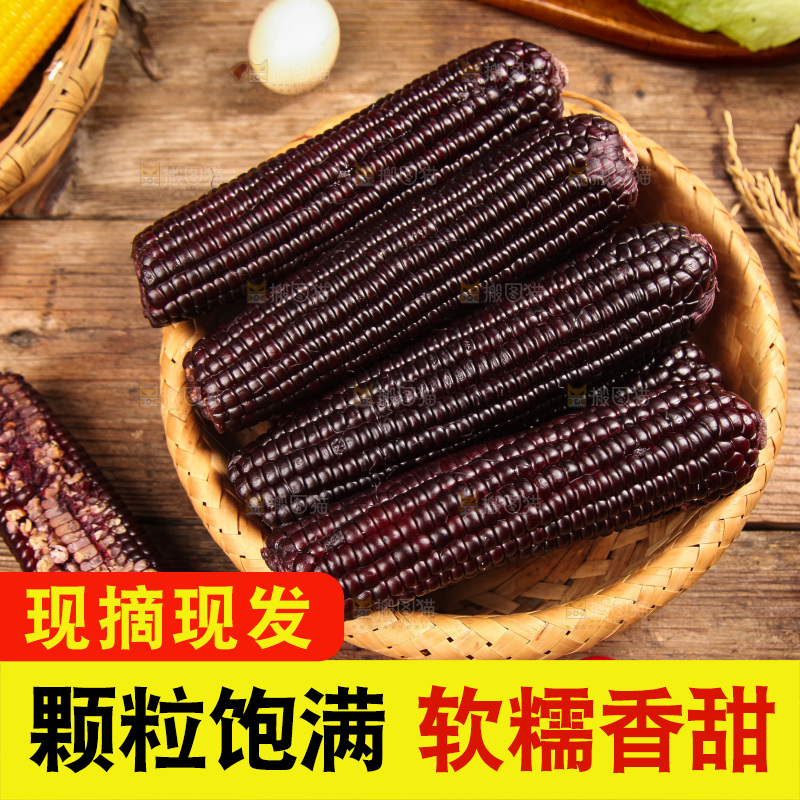 木底上的黑糯玉米