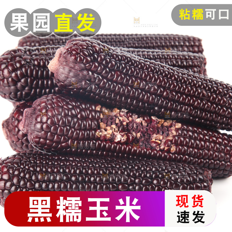 白底上的黑糯玉米