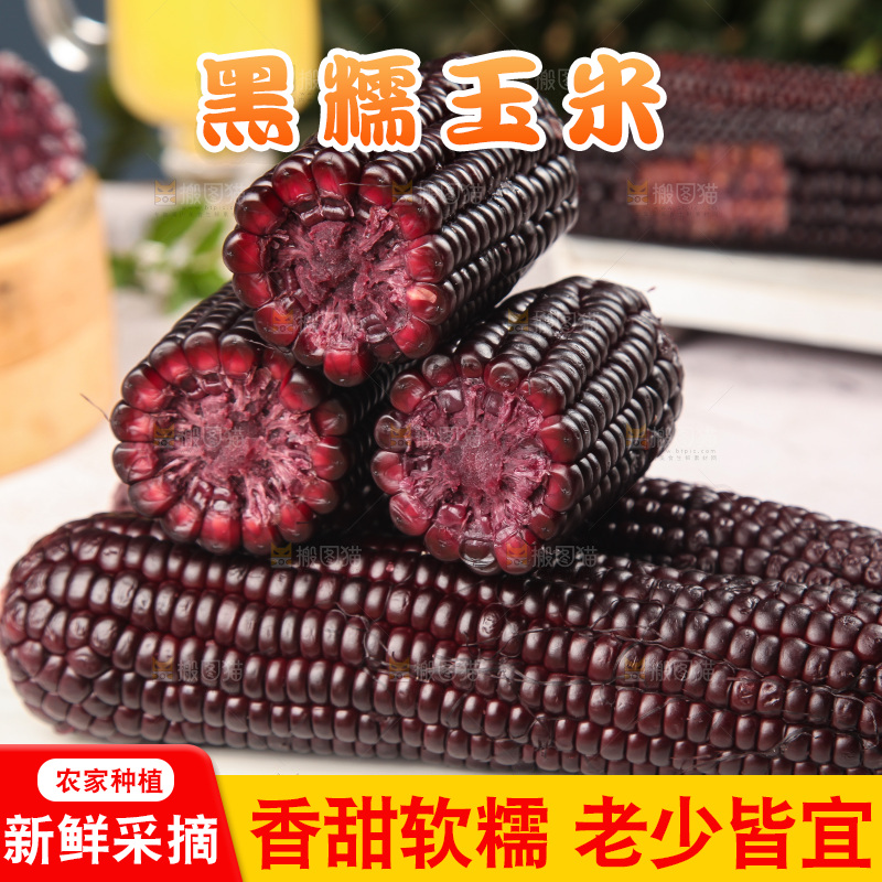 浅底上的黑糯玉米