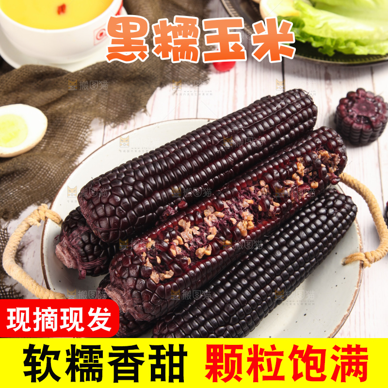 浅底上的黑糯玉米