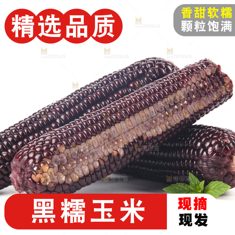 白底上的黑糯玉米
