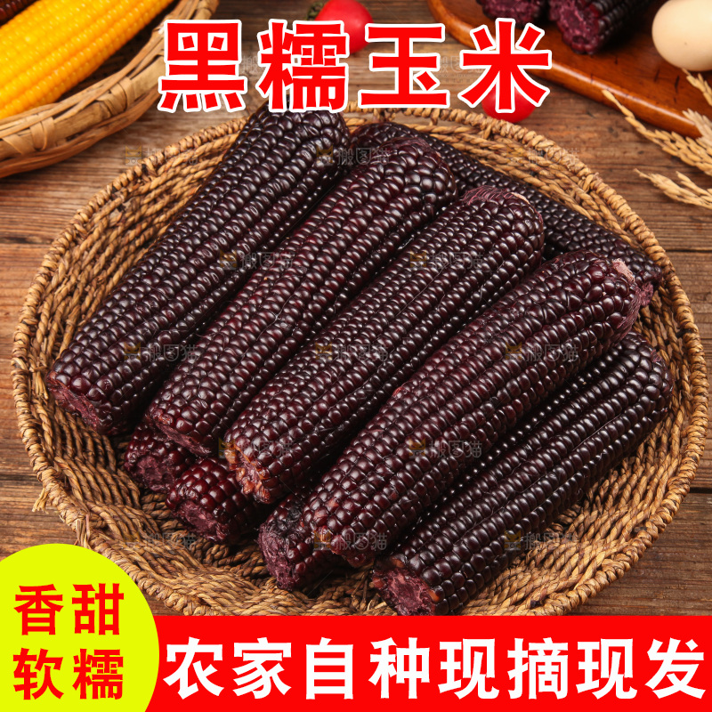 木底上的黑糯玉米