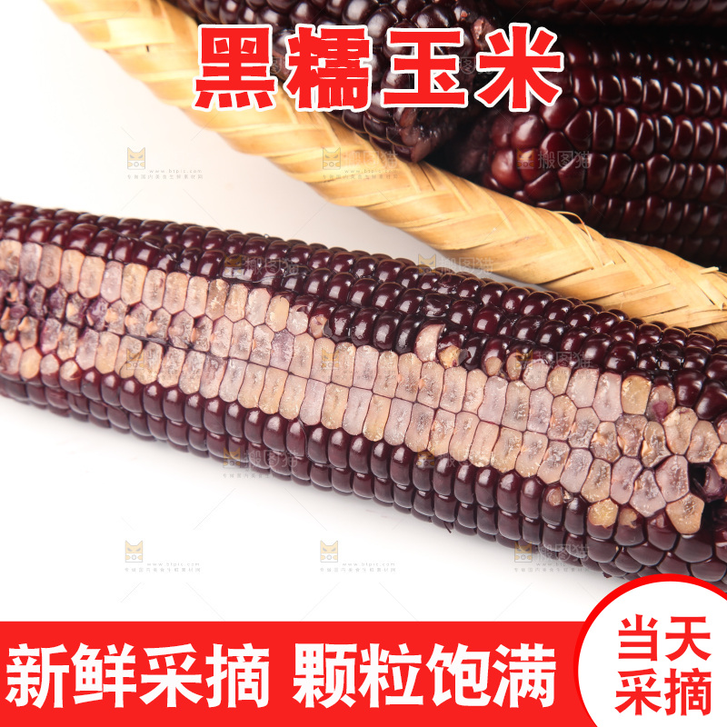 白底上的黑糯玉米