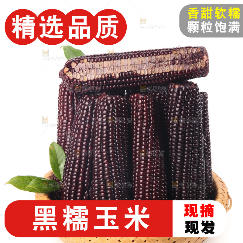 白底上的黑糯玉米