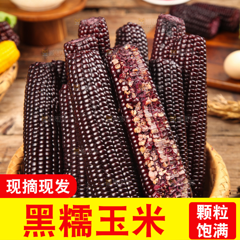 木底上的黑糯玉米