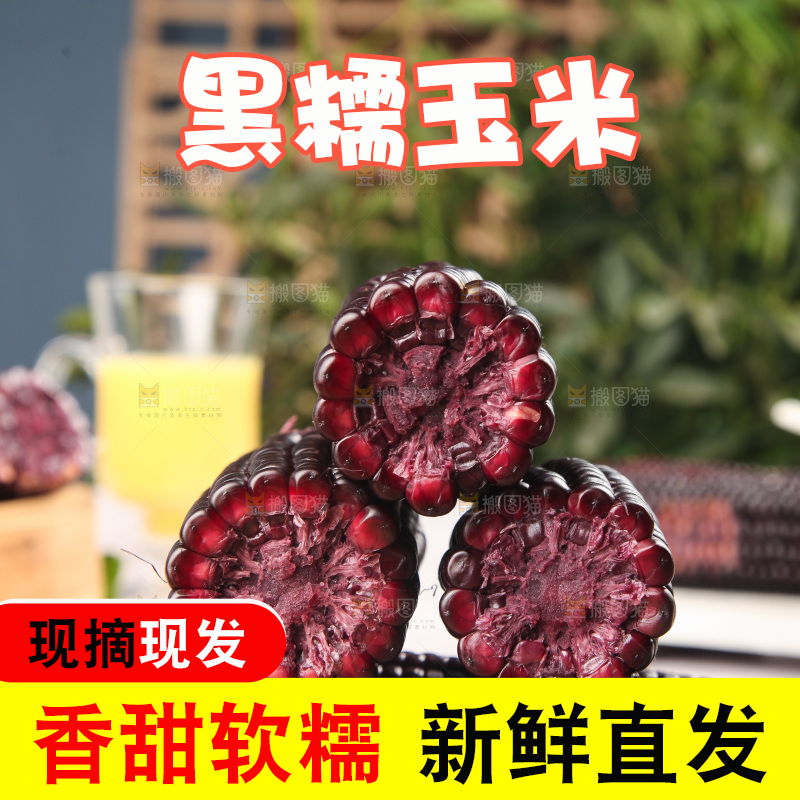 浅底上的黑糯玉米