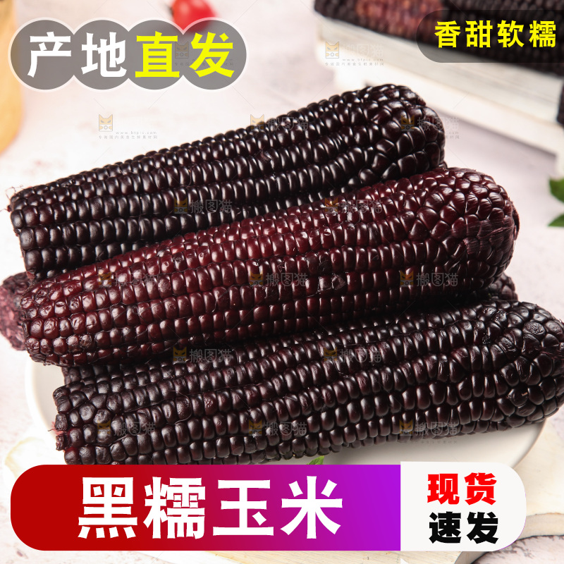 浅底上的黑糯玉米