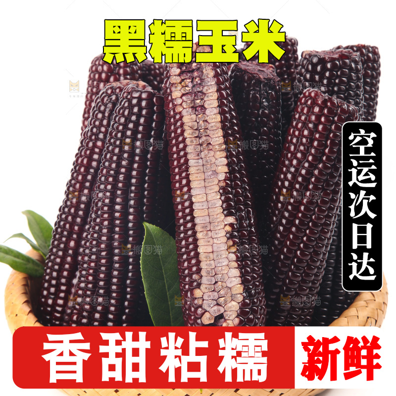 白底上的黑糯玉米