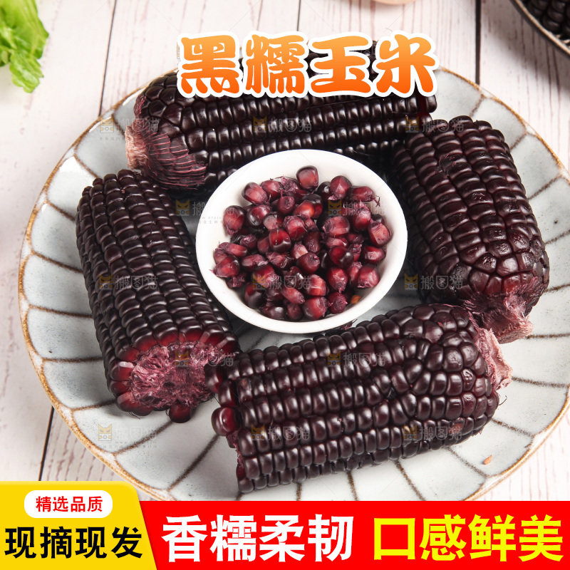 浅底上的黑糯玉米