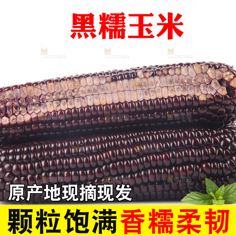 白底上的黑糯玉米