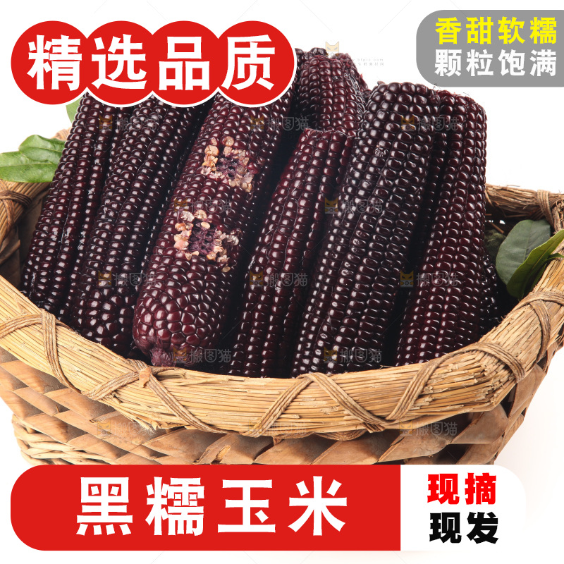 白底上的黑糯玉米