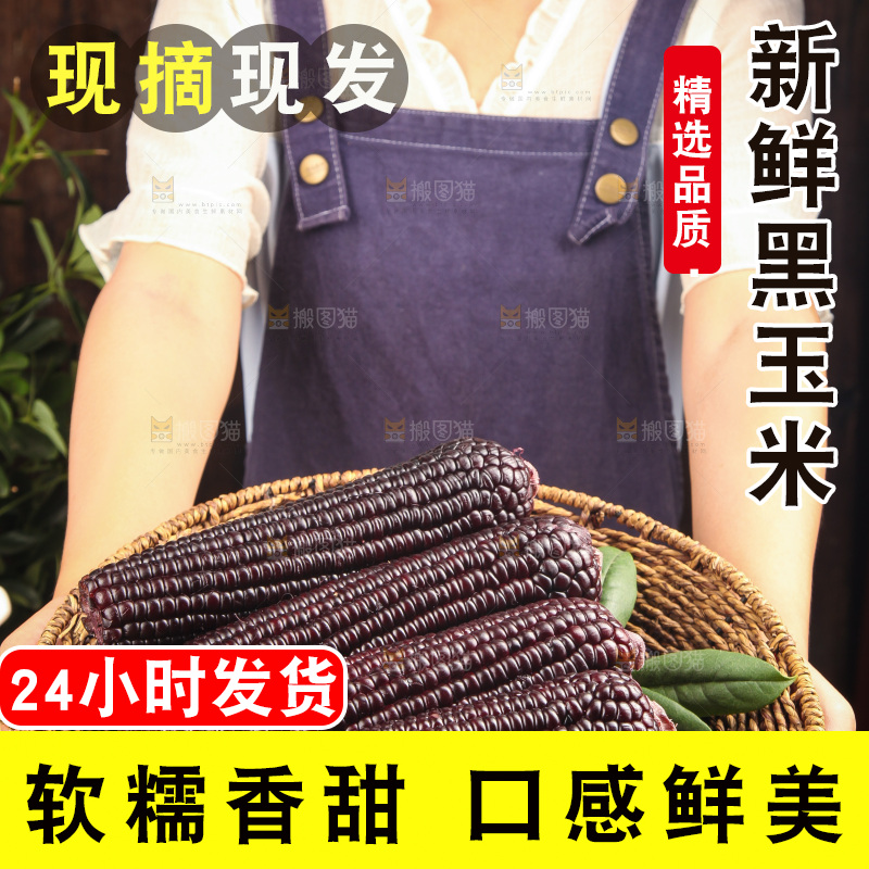 手里拿着黑玉米