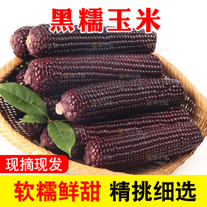 白底上的黑糯玉米