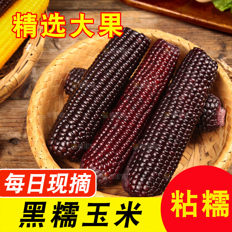 木底上的黑糯玉米