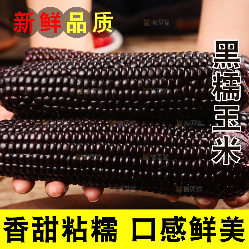 木底上的黑糯玉米