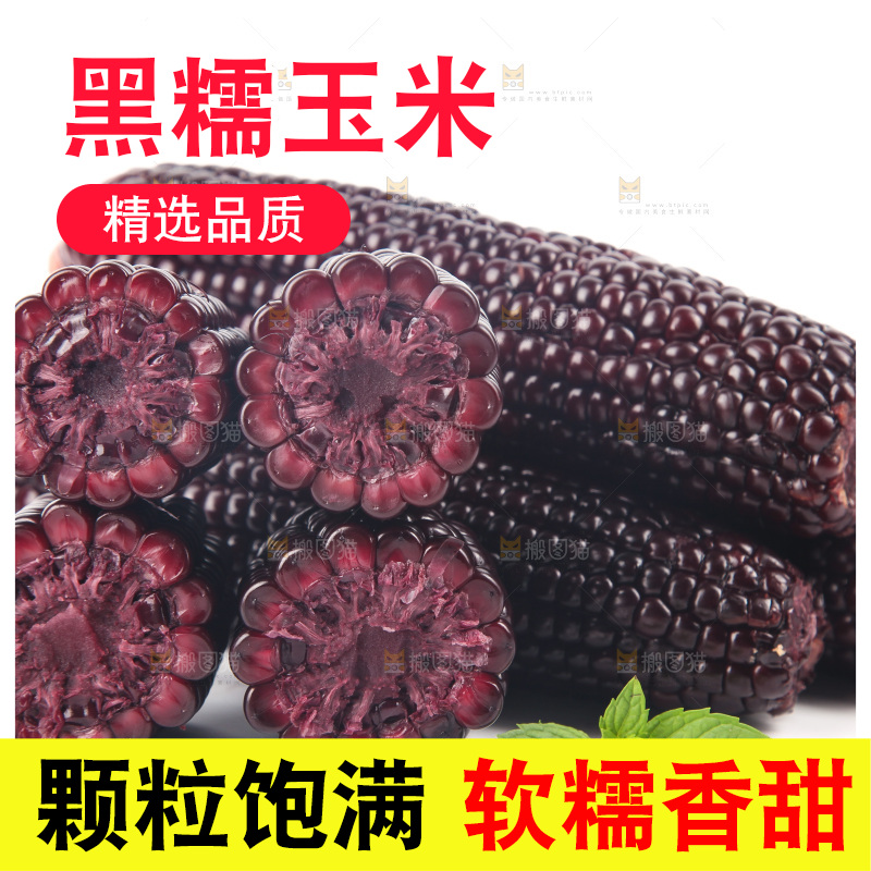 白底上的黑糯玉米