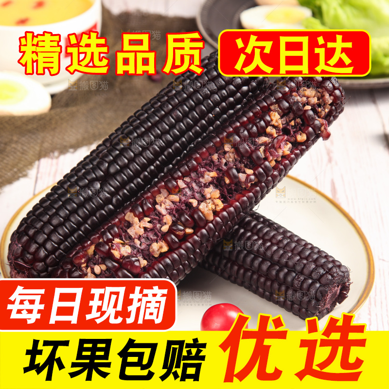 浅底上的黑糯玉米