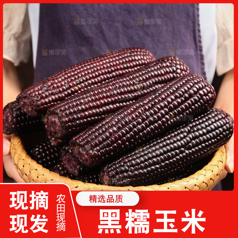 木底上的黑糯玉米
