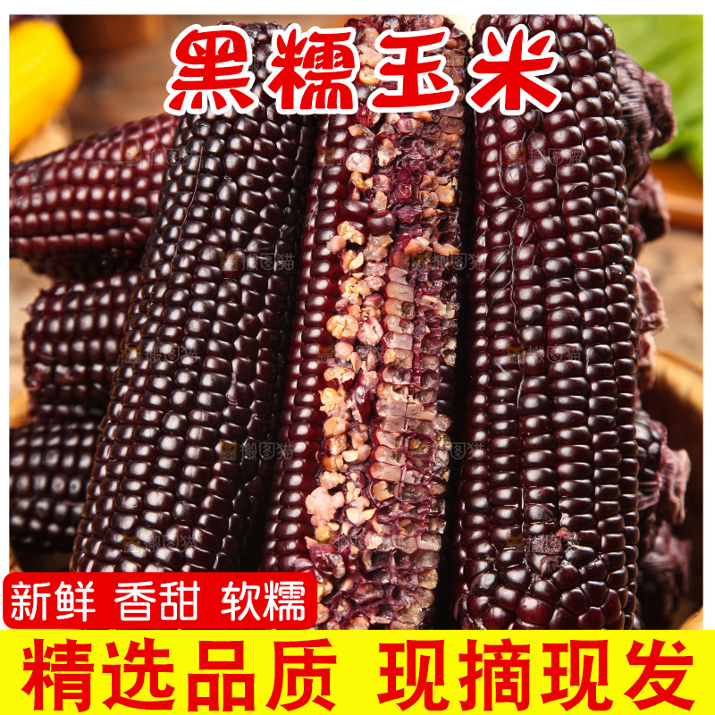 木底上的黑糯玉米